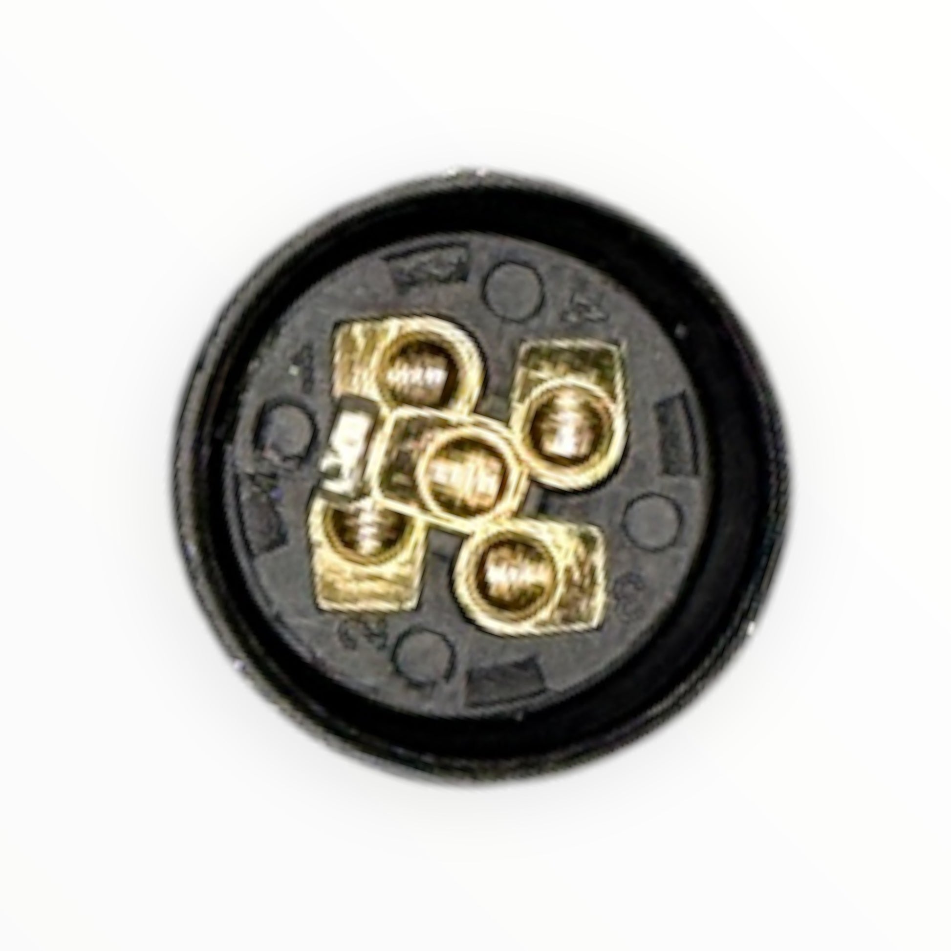 Conector armable m12, hembra, 90 grados, 5 pines [C12-L-F-5A-P] - SKU: IB 1024 — Automatización Industrial Chile | BDTEC