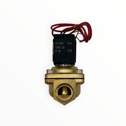 Valvula de vapor 1/2" [VX2120-15-AC220V]